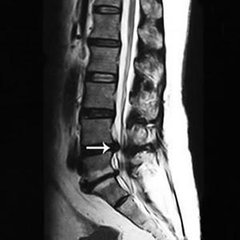 t01a268ece91184ccc1 t01a268ece91184ccc1