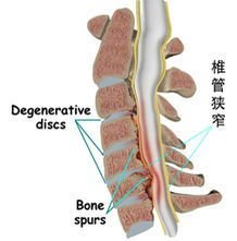 t0112e96967643a9874 t0112e96967643a9874