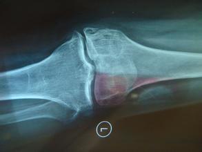 1510026089164467.jpg wan55da879f1be577.61561456.jpg