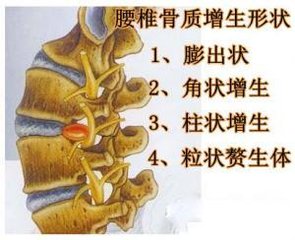 t0145604040f85fc8b5 t0145604040f85fc8b5