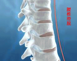 t0194bc2dbc1e883839 t0194bc2dbc1e883839