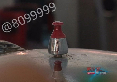 1525057736349245.jpg 气孔6.jpg